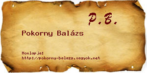 Pokorny Balázs névjegykártya
